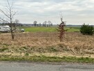 Działka budowlana, mieszkalno - usługowa, dojazd asfaltowy - 2