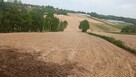 Sprzedam - 2