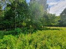 Działka budowlana Pogorzel gm. Celestynów, al. Leśna - 4