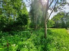 Działka budowlana Pogorzel gm. Celestynów, al. Leśna - 8