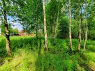 Działka budowlana Pogorzel gm. Celestynów, al. Leśna - 9