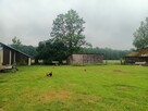 Sprzedam gospodarstwo rolne - 8