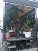 Przeprowadzki & Transport - 8