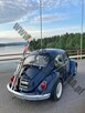 Volkswagen Beetle - 4