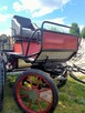 Bryczka na dużego konia - 2