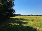 Działka budowalna - 4