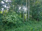 Działka budowalna - 3