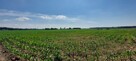 Syndyk sprzeda - udziały w nieruchomości Jednorożec - 2