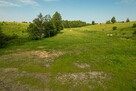 Działki z linią brzegową i widokiem na jez. Rogale - 14
