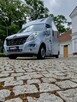 Renault Master Koniowóz, 4 Miejsca, Zabudowa Ogierowa. Kam.Cof.Hak. Na 2 konie.Szyber - 9