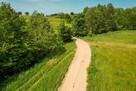 Działki z linią brzegową i widokiem na jez. Rogale - 13