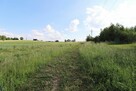 Działka pod zabudowę jednorodzinną o pow. 2493 m2 w Liskach - 6