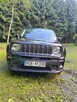 Jeep Renegade 1.0 - 13