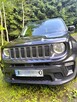 Jeep Renegade 1.0 - 9