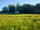 Sprzedam działkę budowlaną 12 ar - 6