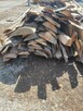 BUK suchy , cięty ok 30 cm - 3