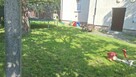 Ogrodnicwp - 3