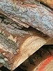 TANIE Drewno na opał cięte na 25cm - 5