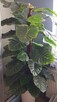 Sztuczny Filodendron – Monstera - 2