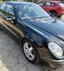 Mercedes-Benz Klasa E Mercedes AVANTGARDE W 211 2,2CDI - 4