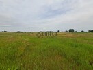 Działki w Jagoszycach niedaleko Prusic - 4