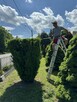 Usługi Ogrodnicze - zakładanie ogrodów / pielęgnacja ogrodów - 2