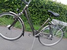 Rower elektryczny holenderski multicycle - 4