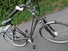 Rower elektryczny holenderski multicycle - 2