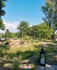 Działka rolno-rekreacyjna blisko Nałęczowa - 4