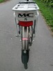 Rower elektryczny holenderski multicycle - 8