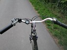 Rower elektryczny holenderski multicycle - 11