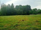 Sprzedam działkę budowlaną 12 ar - 5