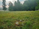 Sprzedam działkę budowlaną 12 ar - 3