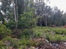 Sprzedam działkę budowlaną.Łazy koło Warszawy.Bezpośrednio - 7