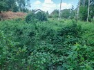 Sprzedam działkę budowlaną.Łazy koło Warszawy.Bezpośrednio - 9