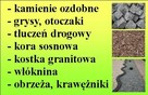 ozdobny do ogródka, żabka, jaszczurka, krokodyl - 9