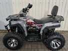 Barton inny Barton Raze 200 ATV - 7