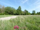 Działka rolno-budowlana Koszalin - 3