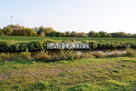 Działka, okolice Aniołów Park, 8000m2, szer. 41m - 16