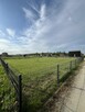 Duży Ogród działkowy Głuszyna Poznań - 1