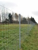 Ogrodzenie siatka leśna - 2