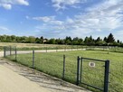 Duży Ogród działkowy Głuszyna Poznań - 3