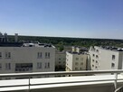 Bezpośrednio, bez prowizji, dwupokojowe mieszkanie Alternatywy - 4