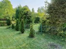 sprzedam działkę ROD - 6