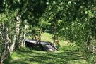 Spacery terapeutyczne po ogrodzie - 10