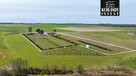 Siedlisko Kęsowo 1,7 ha ceglany dom - 5