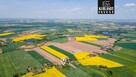 Siedlisko 0,5 ha dom stan deweloperski Kęsowo - 5