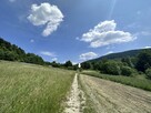 Działka rolna Kasina Wielka gm. Mszana Dolna - 9