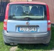 Fiat Panda - 2