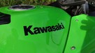 Kawasaki Ninja 250 R Special Edition A2 - 2